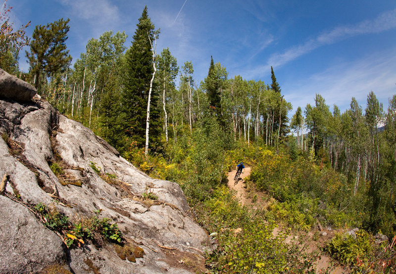 Big rocks and boulders characterize the lower part of Tenderfoot