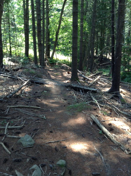 Maine Sport Trails - Log obstacles