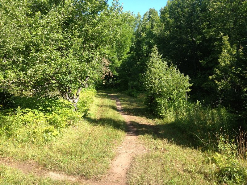 Ring Loop at the Michigan Tech Tolkien Trails.