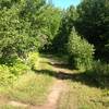 Ring Loop at the Michigan Tech Tolkien Trails.