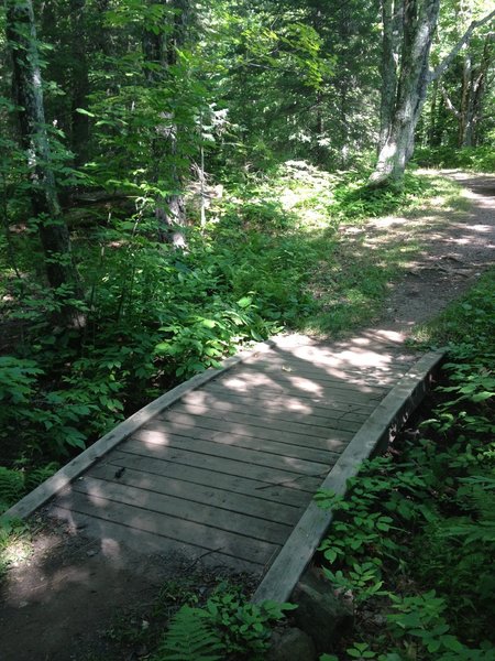 Arched bridge on Ring Loop at Michigan Tech's Tolkien Trails.