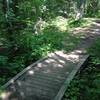 Arched bridge on Ring Loop at Michigan Tech's Tolkien Trails.