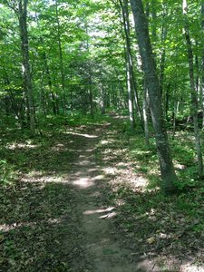 Flat, wide singletrack of Gnome Loop at Michigan Tech's Tolkien Trails.