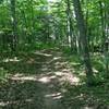 Flat, wide singletrack of Gnome Loop at Michigan Tech's Tolkien Trails.