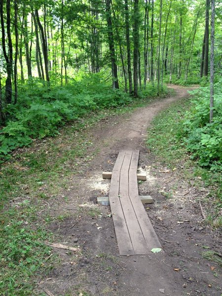 Curved boardwalk on Ring Loop at Tech's Tolkien Trails.