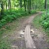 Curved boardwalk on Ring Loop at Tech's Tolkien Trails.