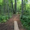 New boardwalk and trail improvements on back side of Gnome Loop at Michigan Tech's Tolkien Trails.