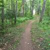 Meandering on Elf Loop at Michigan Tech's Tolkien Trails.