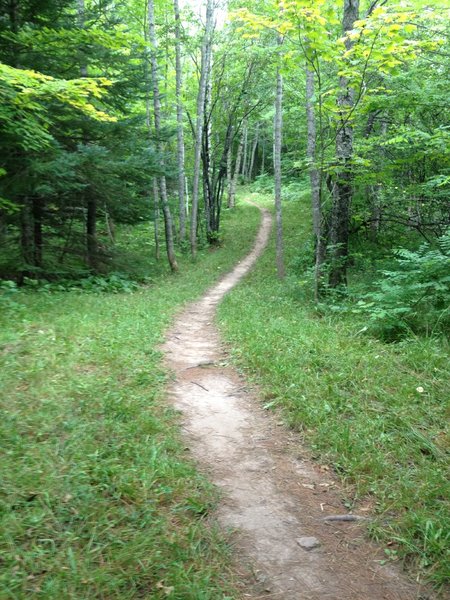 Traversing a small meadow on Elf Loop at Michigan Tech's Tolkien Trails.