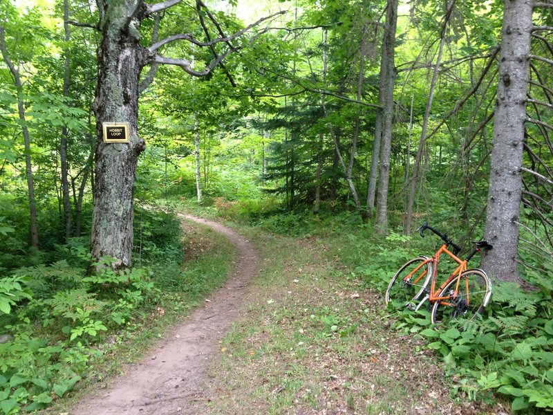 Hobbit Loop at Michigan Tech's Tolkien Trails.