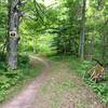 Hobbit Loop at Michigan Tech's Tolkien Trails.