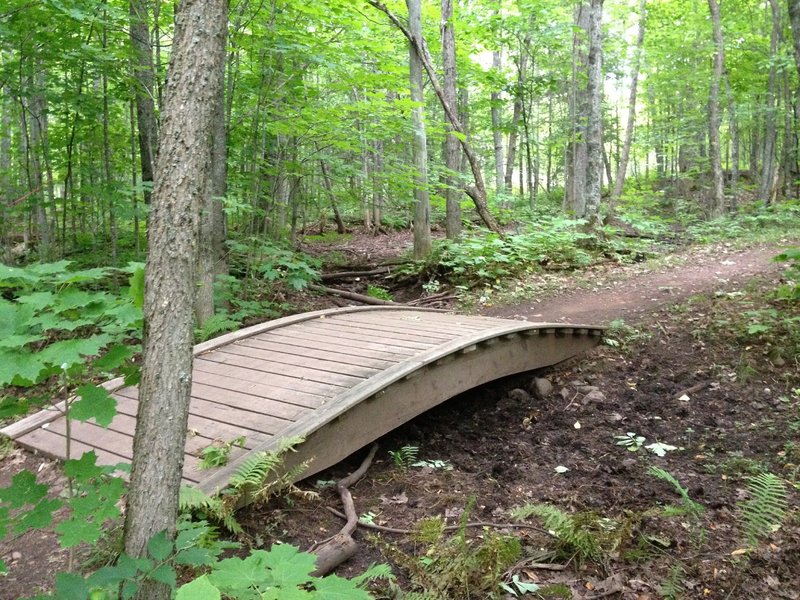 Arched bridge over wet area on Ring Loop at Michigan Tech's Tolkien Trails.