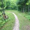 Open corner on Hobbit Loop at Michigan Tech's Tolkien Trails.