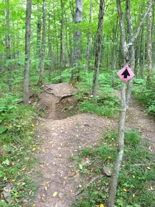 Natural rollers crossing an old copper mine exploratory pit on Dragon Loop.