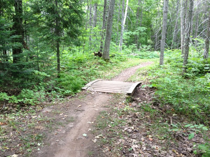 Short arched bridge on Troll Loop at Michigan Tech's Tolkien Trails.