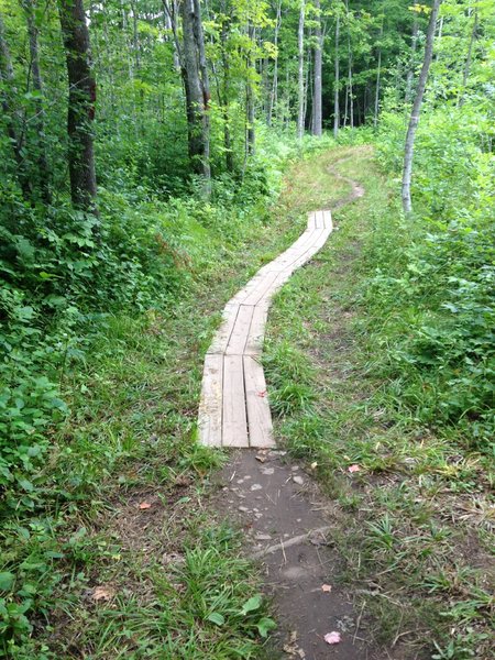 Snaking boardwalk on Troll Loop at Michigan Tech's Tolkien Trails.