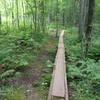 A mellower version of the dragon bridge, this one's only 50 feet long and 6 inches off the ground. On Dragon Loop.