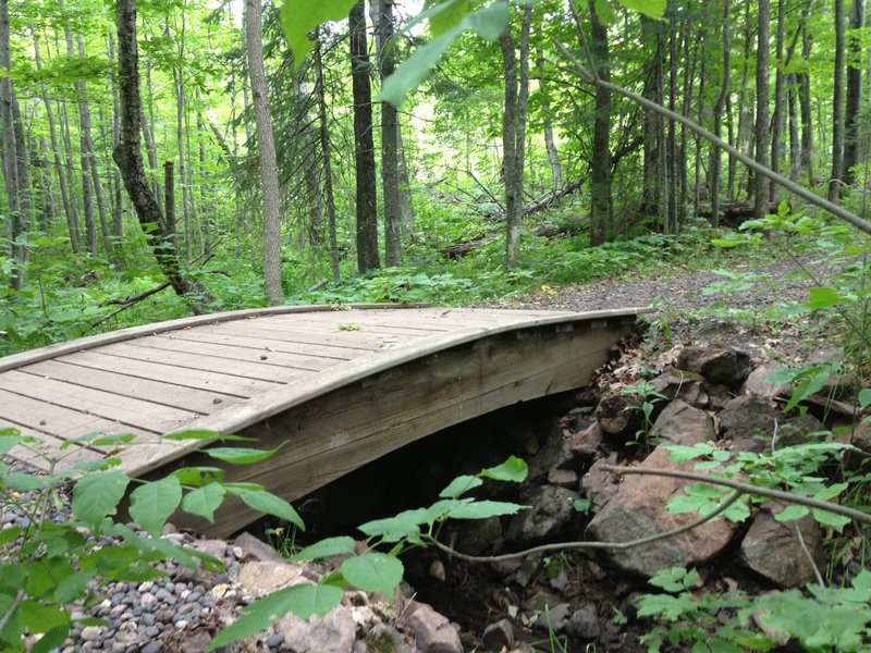 An arched bridge shared by Dragon and Troll Loops over the headwaters of Deadman's Creek at Michigan Tech Trails.