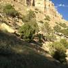 Cliffs above the trail