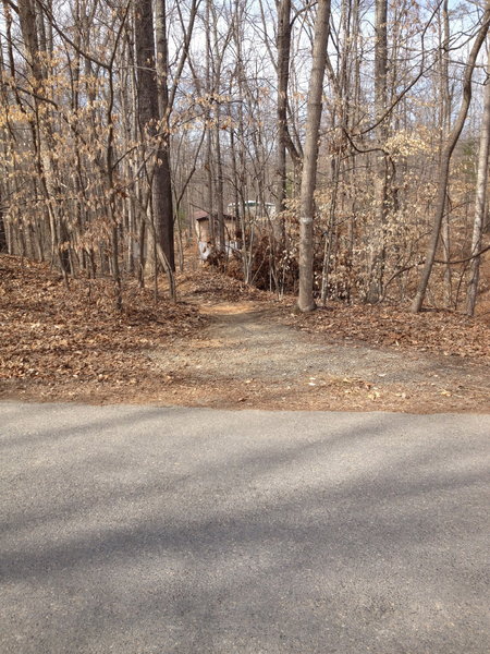 End of trail at access road. Cross road to access intermediate trail or turn left on road to loop back to trailhead and/or parking lot.