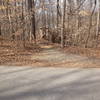 End of trail at access road. Cross road to access intermediate trail or turn left on road to loop back to trailhead and/or parking lot.