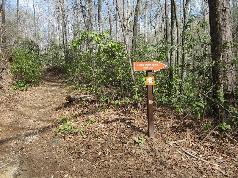 Ridge trail loop