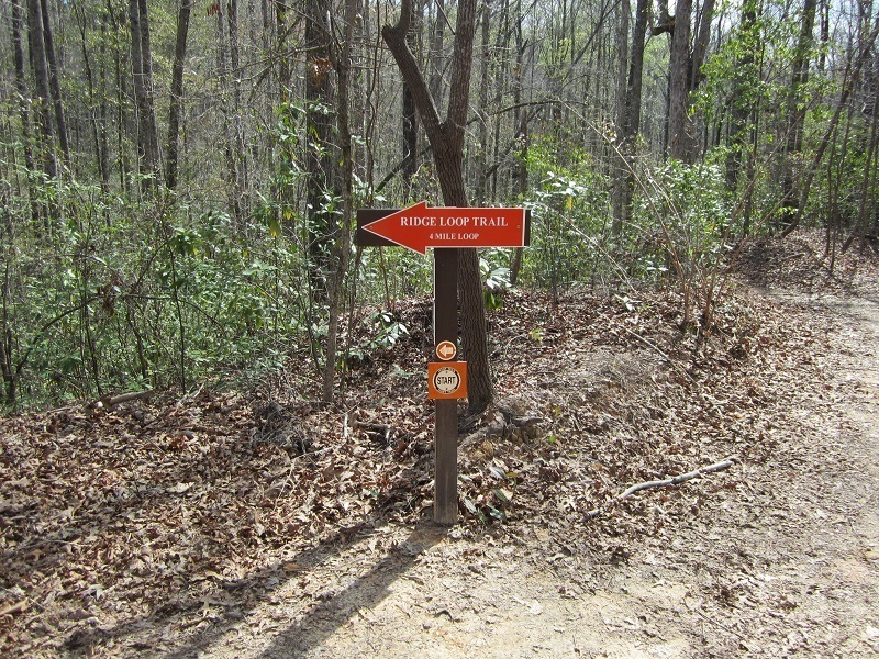 Ridge trail loop