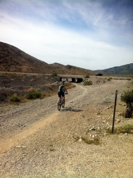 Heading for lower tunnel at Badger Pass trail start