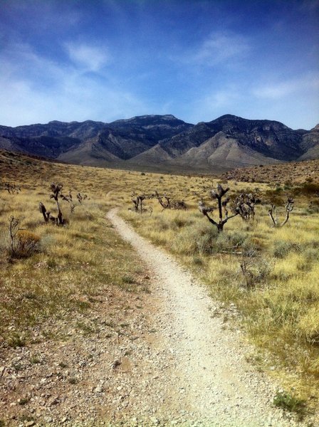 Badger Pass