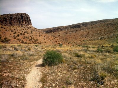 Badger Pass