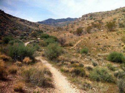 Badger Pass, alternate on right