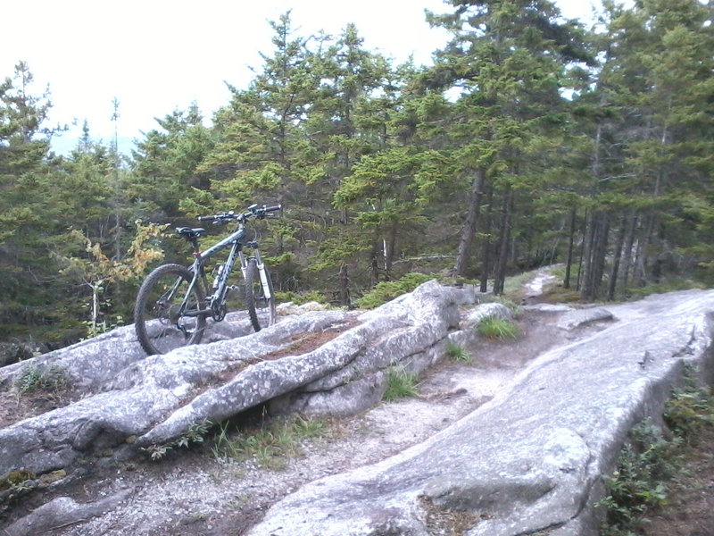 The high point on Harrington Ridge. The granite spines are absolutely awesome.