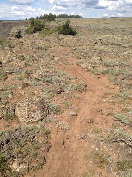 The southwest corner is rocky.