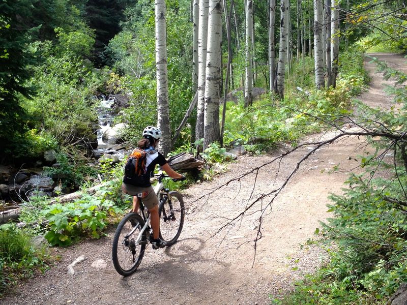 Nice part of the trail paralleling Beaver Creek