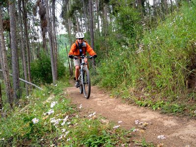 Nice flowers on Allie's Way