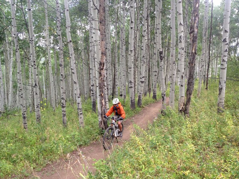 Aspen cruisin'