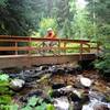 New bridge over Beaver Creek