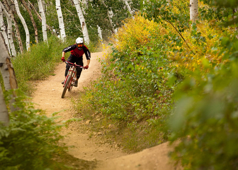 Dropping down through the aspens on the upper reaches of Rustlers Ridge