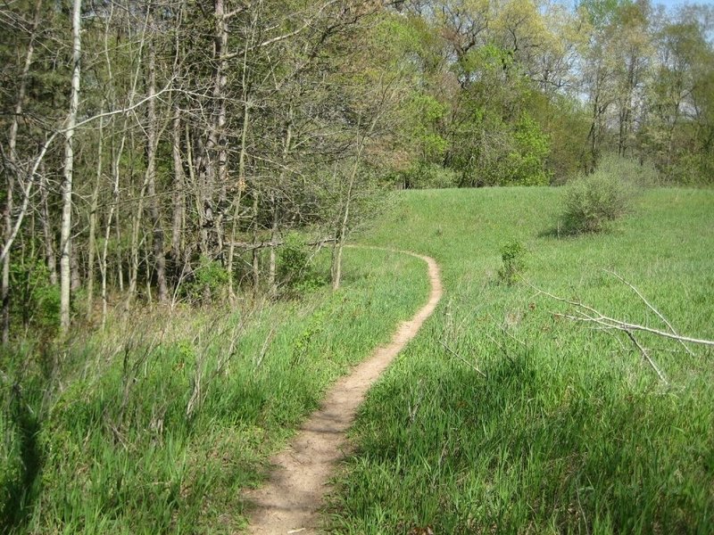 Orange Loop singletrack through field