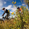 Blue skies and wildflowers on Sunshine