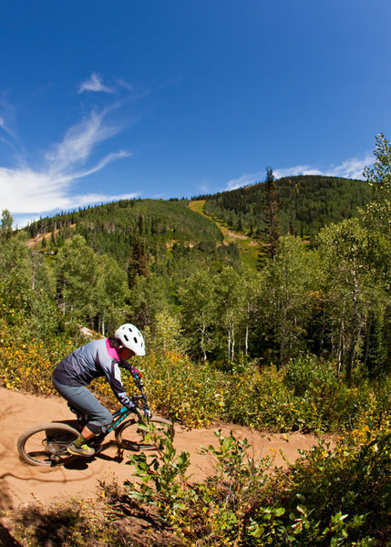 Moonlight is non-stop switchbacks