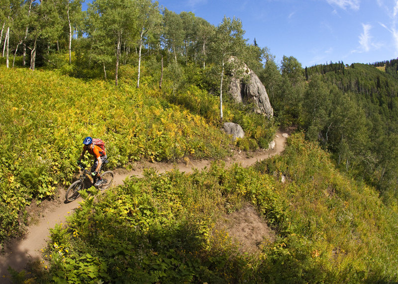 Elkhead is a quick connector that has some nice carving turns