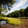 Stop to enjoy the riverside view of Shavers Fork