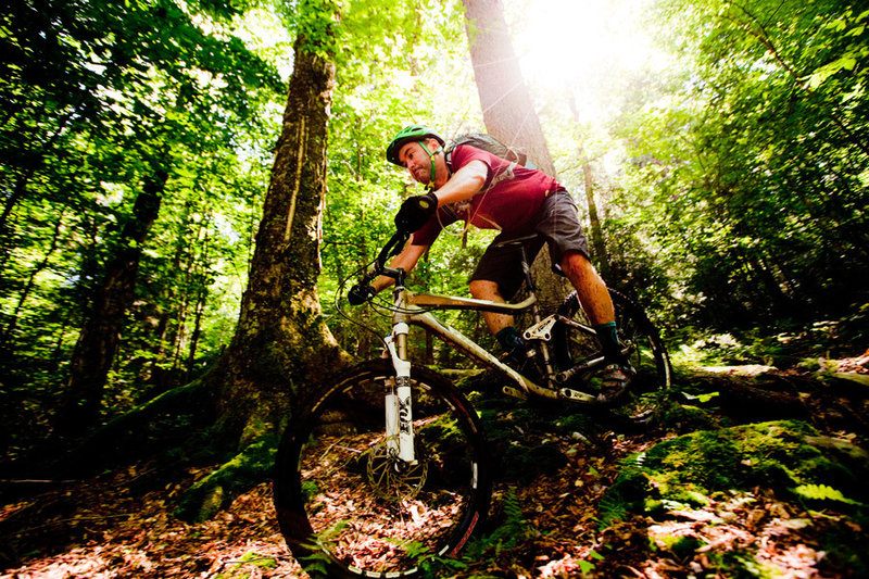 Roots, rocks and plenty of slippery moss to be found in the Cheat Mountain trail system