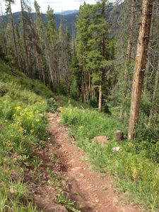 Typical for this trail