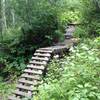 Bridge over the some lush area.