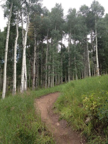 Nice berms on Mane Lane