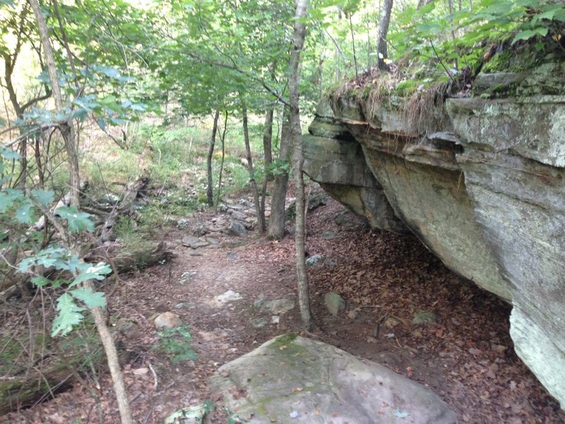 Dry creek bed under an overhang