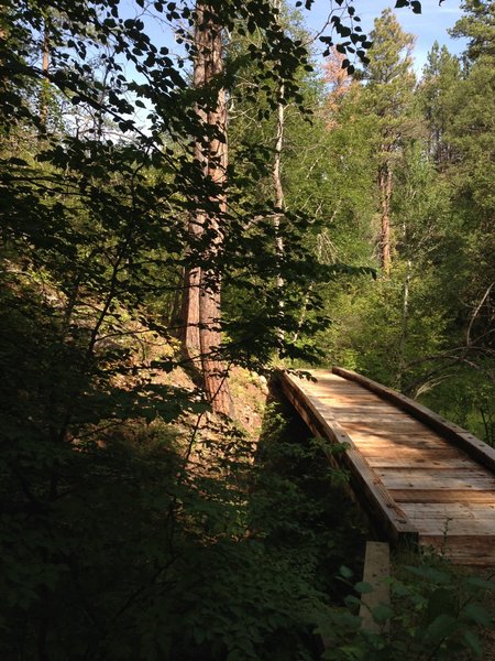 One of the few bridges, view is north, and around the corner is the moist section, stinging nettle land. ow..