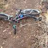 Always look up the trail, even when climbing. I nearly ran over this rattle snake, then dropped my bike and danced out of the way. Snakes never seem to go out of their way to bite, just don